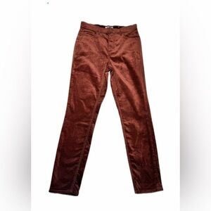 LOFT Velvet High Waist Skinny Pants Deep Brown Size 30W